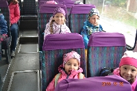 18_zoo_ms_01