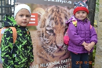 18_zoo_ms_05