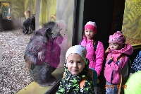 18_zoo_ms_06