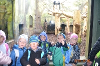 18_zoo_ms_08