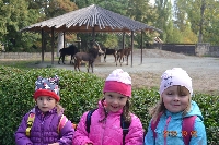18_zoo_ms_13