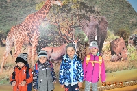 18_zoo_ms_14