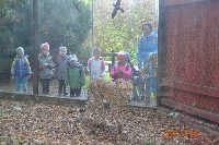 18_zoo_ms_15