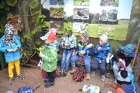 18_zoo_ms_16