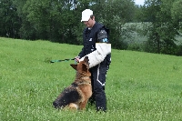17_psi_ms_19