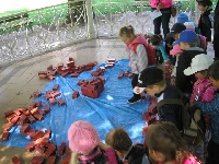 15_poh_les_jar_ms_06