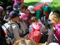 15_poh_les_jar_ms_13