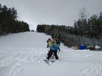 Obr�zek 20_lvvz_11