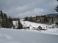 Obr�zek 20_lvvz_12