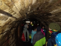 Obr�zek 20_lvvz_22