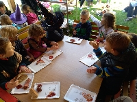 Obr�zek 19_carodej_ms_10