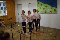 Obr�zek 19_jarni_akadem_35