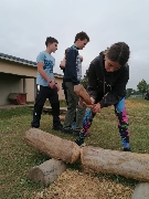 Obr�zek 23_vsestary_4a6t_02