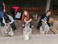 Obr�zek 23_vsestary_4a6t_05