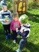 17_vajicka_ms_11