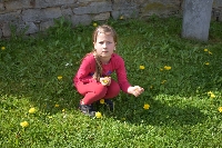 17_pamp_med_ms_15