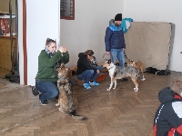 17_den_preven_29