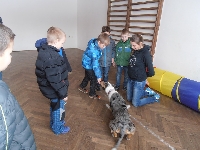 17_den_preven_35