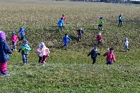 17_bledule_ms_08