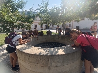 Obr�zek 23_stmel_6t_07