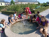 Obr�zek 23_stmel_6t_09