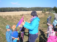 15_draci_ms_11