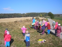 15_draci_ms_12