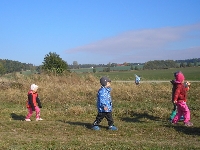15_draci_ms_16