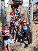 Obr�zek 23_stmel_1-3t_05