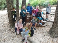 Obr�zek 23_stmel_1-3t_10