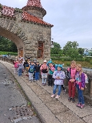 Obr�zek 23_stmel_1-3t_15