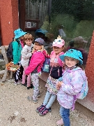 Obr�zek 23_stmel_1-3t_18