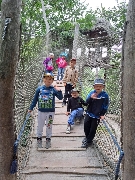 Obr�zek 23_stmel_1-3t_19