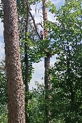 Obrzek 24_skol_vyl_lano_na_6_05