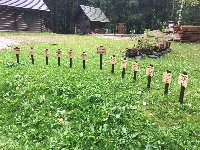 Obr�zek 19_proj_den_9_16