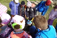17_sipkovana_04
