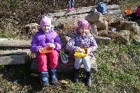 17_sipkovana_09