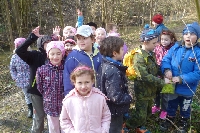 17_sipkovana_13