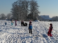 17_pred_van_ms_27