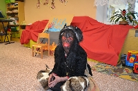 17_mikulas_ms_32