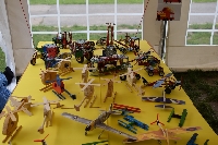 Obr�zek 19_jarni_vystava_08
