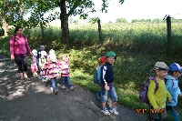 15_ratibor_ms_01
