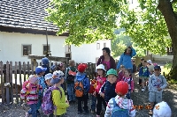 15_ratibor_ms_03