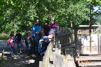 15_ratibor_ms_04