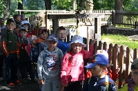 15_ratibor_ms_05