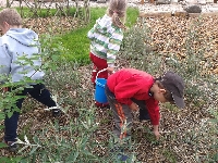 15_zahrada_ms_03