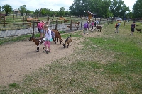 17_fajnpark_16