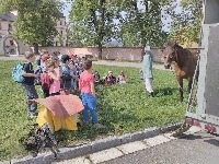 18_vylet_1st_zoo_24