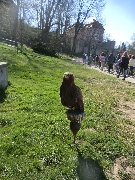 15_den_zem_2-st_32