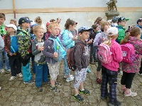 15_det_den_02